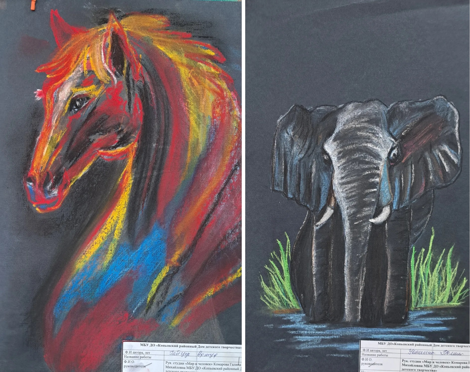 Волшебство в центре «Мои документы» посёлка Копьево!