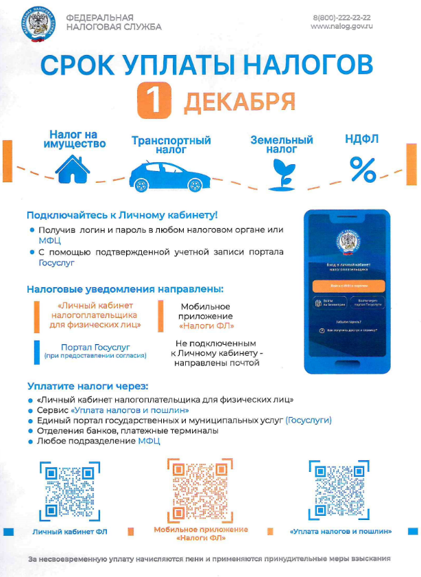 ФНС напоминает об уплате не позднее 1 декабря имущественных налогов
