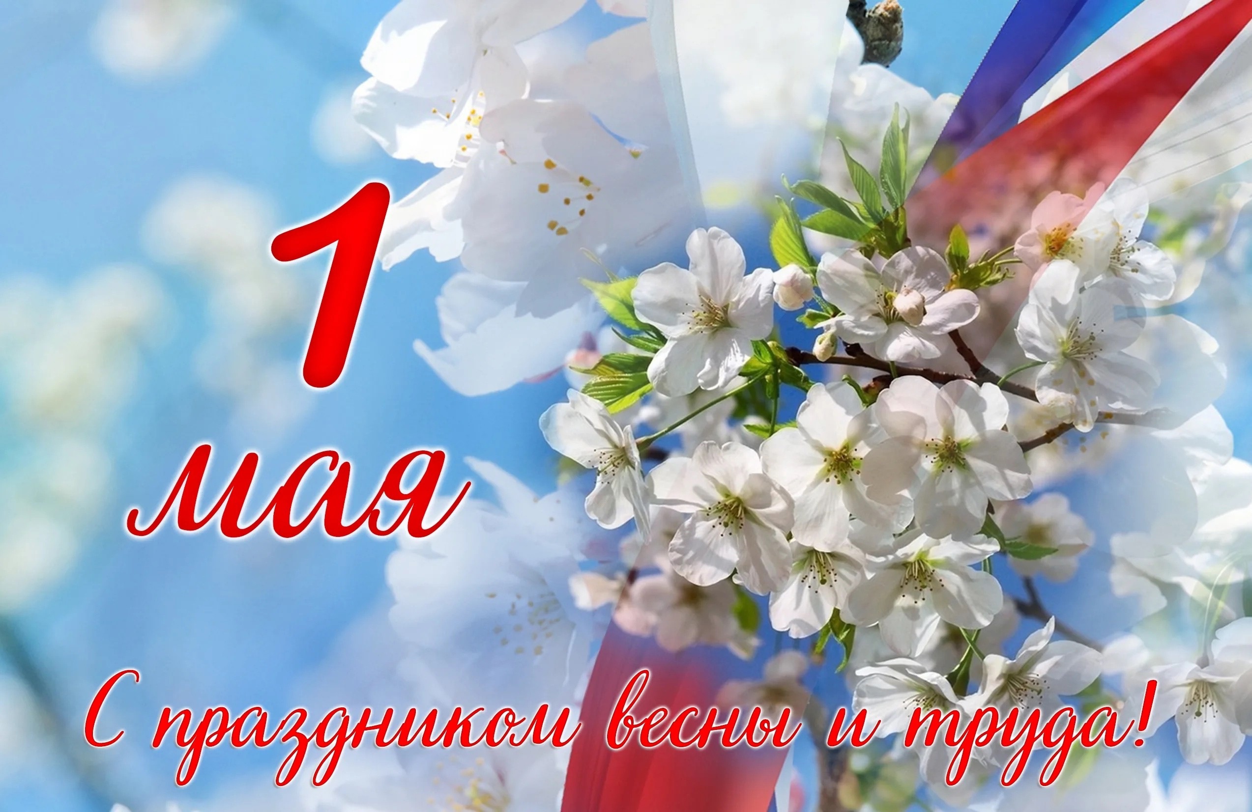 1 мая – День Весны и Труда!
