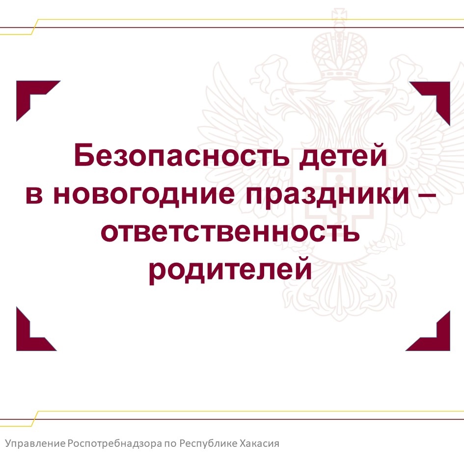 Безопасность детей в новогодние праздники – ответственность родителей