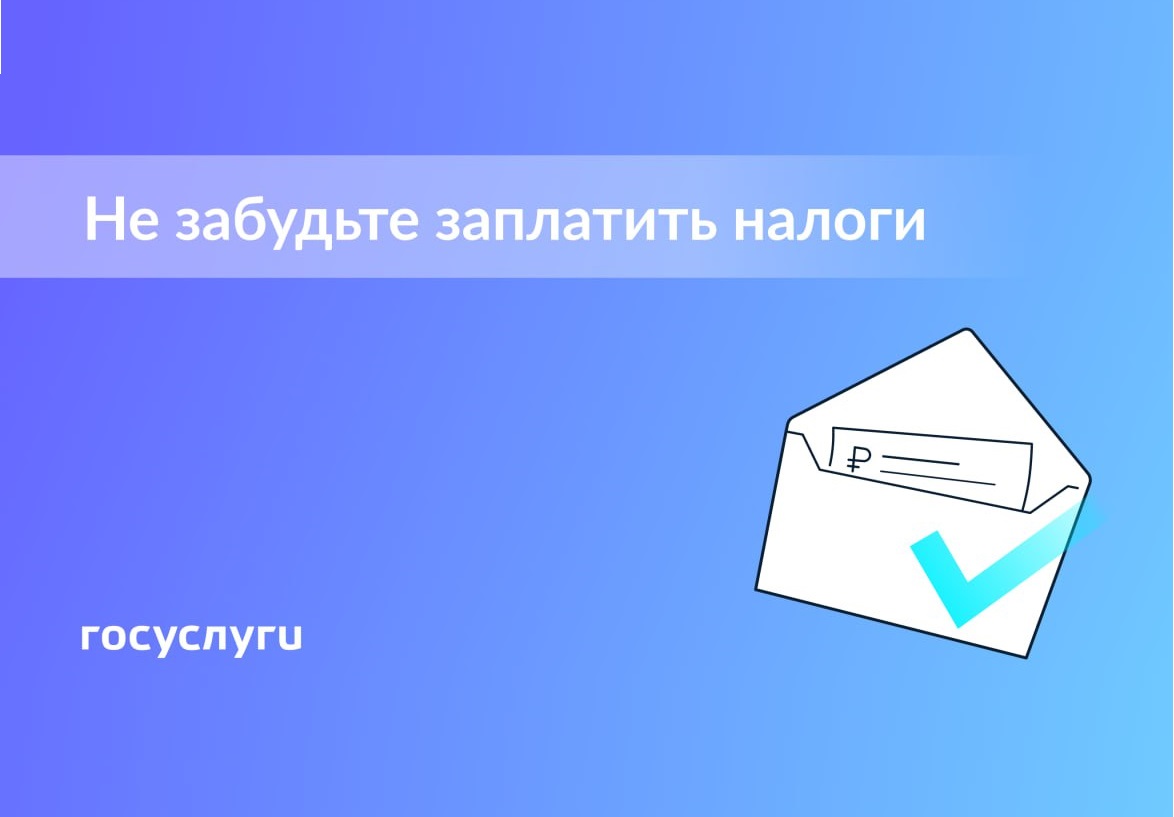 1 декабря — срок уплаты имущественных налогов
