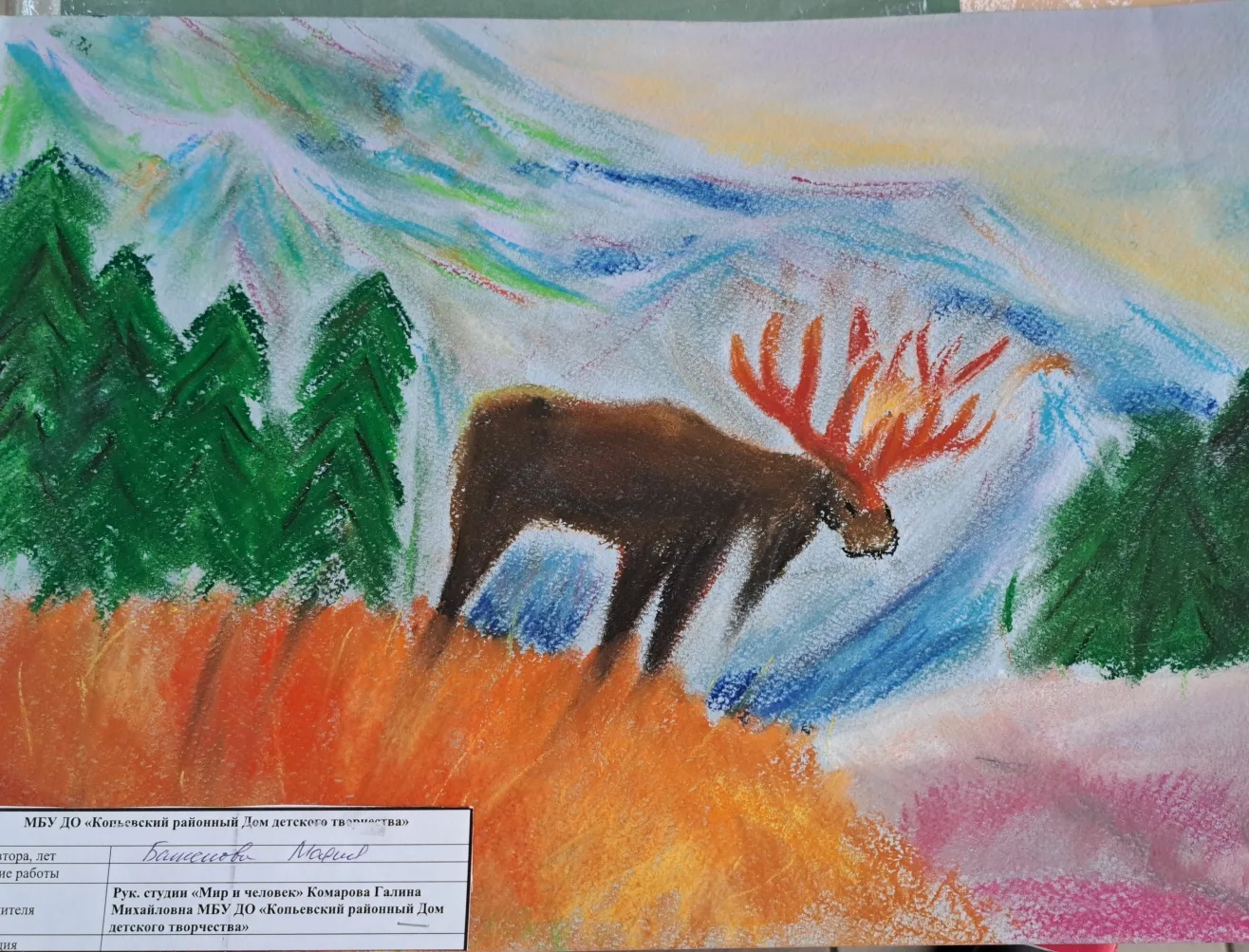 Волшебство в центре «Мои документы» посёлка Копьево!