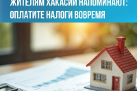 1 декабря — последний день уплаты налогов