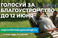 В Хакасии стартовало Всероссийское онлайн-голосование за объекты благоустройства