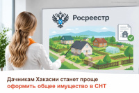 Правительство РФ рассматривает новый законопроект Росреестра, который упростит оформление прав на общее имущество садоводческих товариществ (СНТ)
