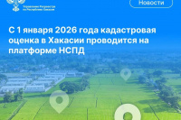 Государственная кадастровая оценка недвижимости проводится с использованием платформы НСПД