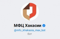 Записаться в МФЦ можно через чат-бот в мессенджере МАХ